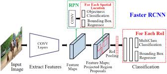 Fast rcnn and losses cls_score, bbox_pred = create_fast_rcnn_predictor(conv_out, roi_proposals return detection_losses, pred_error. High Level Diagram Of Faster R Cnn 16 For Generic Object Detection 2 Download Scientific Diagram