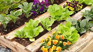 Free for commercial use no attribution required high quality images. Diy Pallet Raised Garden Bed Garden Gate