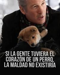 Adriana Bravo Gonzales (@abravo150) • Instagram photos and videos