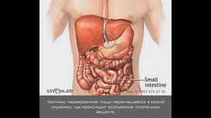 Jun 23, 2021 · инструкция по применению препарата дюфалак сироп: Vidy Stom Chto Takoe Kolostoma Ileostoma Urostoma Youtube