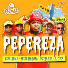 Musica de makhadzi maplisa 2019. Samba Ngolayini Remix Release