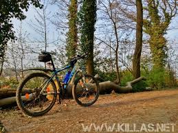 Mountainbike Stadtwald Iserlohn Wald Touren Mountainbike Wald