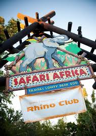 Pin By Martin On Z O O I N S P I R A T I O N Safari Decorations Zoo Park Africa Safari