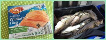 Ab wann werden babys trocken? Fisch Fur Das Baby Rezepte Fur Babybrei Mit Fisch