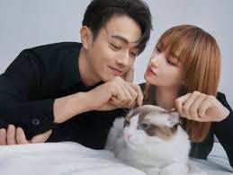Download please feel at ease mr. Giladrakor Tv Download Drama Korea China Asian Drama Variety Show Dan Film Subtitle Indonesia