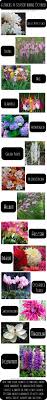 Maybe you would like to learn more about one of these? What Flowers Are In Season During October Freesias Are My New Favorites October Wedding Flowers October Flowers Wedding Flowers