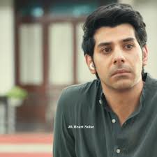 Syed Ahsan Shabbir Rizvi