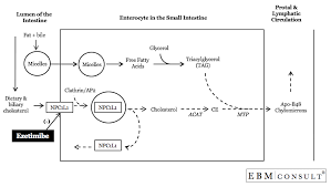 Image result for Ezetimibe