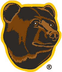 The jersey itself has, much like my first bruins concept, a bear paw/claw mark like striping on the jersey. Reverse Retro Expectations Vs Reality Boston Bruins Historically Hockey