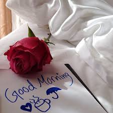 Ana Rosa Good Morning Roses Good Morning Flowers Good Morning Love