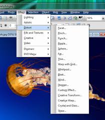 Software sites are collections of software available on websites over the last few decades that were mirrored at the archive and then left in a dormant state. Photoimpact X3 Download
