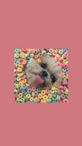 W A L L P E R 3 Animal Wallpaper Dog Wallpaper Wallpaper Iphone Cute