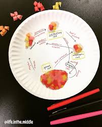 Mrs G On Instagram The Starburst Rock Cycle Just Never Gets Old Rockcycle Rocks Minerals Pinkstarburs Rock Cycle Rock Cycle Activity Rock Science
