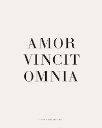 Amor Vincit Omnia Besotted Latin Love Quotes Latin Quotes Phrase Tattoos