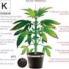 Maybe you would like to learn more about one of these? 1