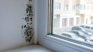 Es reicht aus, mehrmals täglich fünf bis zehn minuten durchzulüften, um die feuchte luft aus der wohnung durch trockene luft von außen auszutauschen. Schimmelbildung In Der Wohnung Das Mussen Mieter Wissen