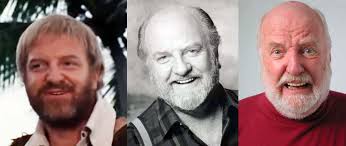 La série Les Robinson suisses par Nath-Didile