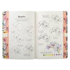 You don't need to have any special skills to draw a flower. Ten Step Drawing Flowers Blick Art Materials