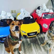 One Complementary Roll Of Toilet Paper With Every Service Thank You All For Your Support During This Time Instagram Update Toy Car Supportive