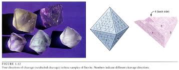Table 5 The pattern and plane of cleavage vary from organism to organism. table 5