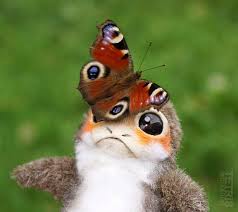 Dolls Porgs From New Movie Starwars 2018 Ill Make A Lot Of Porgs D You Can Choose Any Colour This Size Just 11cm Star Wars Art Dolls Butterfly Art