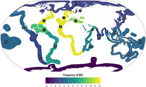 Is the final installment in the original donkey kong country trilogy. Exploring Marine Invasions Connectivity In A Ne Atlantic Island Through The Lens Of Historical Maritime Traffic Patterns Sciencedirect