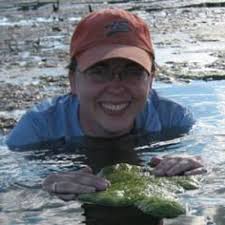 Sara Paver (@paversara)