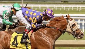 Two Year Olds On Instagram Positively Awesome Got Up Just In Time To Win By Gulfstream Park Positivelyaweso Two Year Olds Racehorse Horse Racing