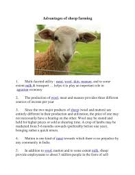 Sheep Farming Sheep Sheep Farm Farm