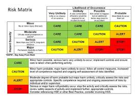 Risk Assessment Grid Template 12 Important Facts That You Should Know About Risk Assessment Risk Matrix Brand Experience Important Facts