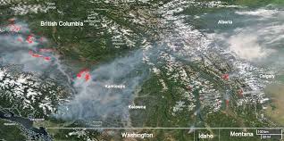 It burned nearly 1,920 square kilometres of land, ravaging the ashcroft, boston flats, loon lake. Elephant Hill Fire In British Columbia Grows To 194 000 Acres Wildfire Today