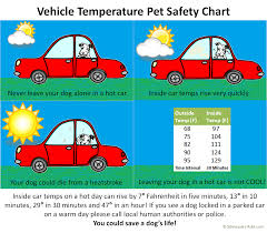 Vehicle Temperature Pet Safety Chart Via Schnauzers Rule Com