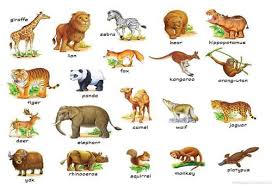 We did not find results for: 200 Nama Nama Hewan Dalam Bahasa Inggris Dan Artinya Lengkap