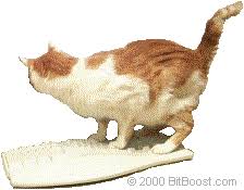 Kathryn primm, your cats may think that you view the object (keyboard or book) as a valuable. Pawsense Helps You Catproof Your Computer By Protecting Against Cat Typing But Letting Humans Use The Keyboard Freely