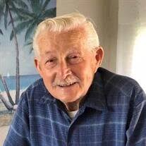 Raymond O Senf Obituary