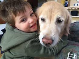 Shih Tzu passes away after 16 years