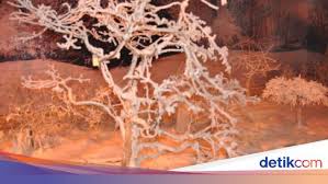 Agar rumah tak bocor saat musim hujan, pasang waterproof dan kenali jenisnya. Serunya Menikmati 4 Musim Berbeda Di Malaysia