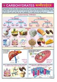 Carbohydrates For Food Nutrition Chart