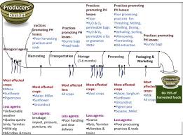 December 2010 northern territory government department in the last few decades, pest and disease management has taken a distinctly ecological approach. Post Harvest Food Losses In A Maize Based Farming System Of Semi Arid Savannah Area Of Tanzania Sciencedirect