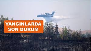 Manavgat, bodrum, marmaris ve adana orman yangınlarında son durum hakkındaki yorumları takip edin yada kendi yorumunuzu paylaşın! 2fgjteq06f3zrm