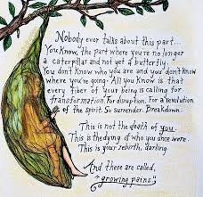 Alexis Rakin Artist Caterpillar Quotes Butterfly Quotes Know Who You Are