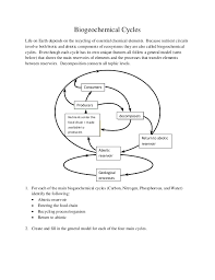Nutrients are recycled within natural ecosystems. Biogeochemical Cycles