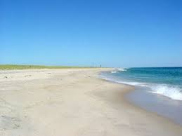 Robert Moses Beach Went Here At Least 3 Times A Week With Mom When Growing Up Beach Island Beach Favorite Places