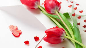 They are also a source of attraction. Beautiful Love Nature Wallpapers Wallpaper Cave