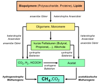 V= 4,53 molx 22,4 l/mol =>101,6 l cantitatea de oxigen necesar ptr. Gaz Natural Wikipedia