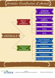 Describe the traits your birds had in common with one another in the taxonomy chart. The Classification Of Life From Linnaeus To Dna Barcoding Let S Talk Science