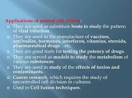 Culture of human stem cells is used to expand the number of cells and differentiate the cells into various somatic cell types for transplantation. Animal Tissue Culture Lec Ppt Download