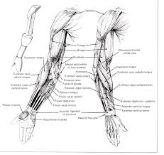 Cse490ca Spr2000 Reference Materials