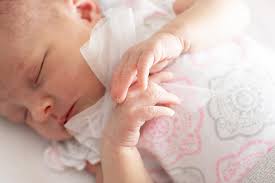 Linde-lens Fotografie/Photography