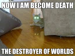 Memes meme qualitymeme qualitymemes filthyfrank dankmemes harambe whitepeople daquan kachow dank 420 ugly uglygraduation hughmongous hous. Now I Become Death Cat Now I Am Become Death The Destroyer Of Worlds Know Your Meme